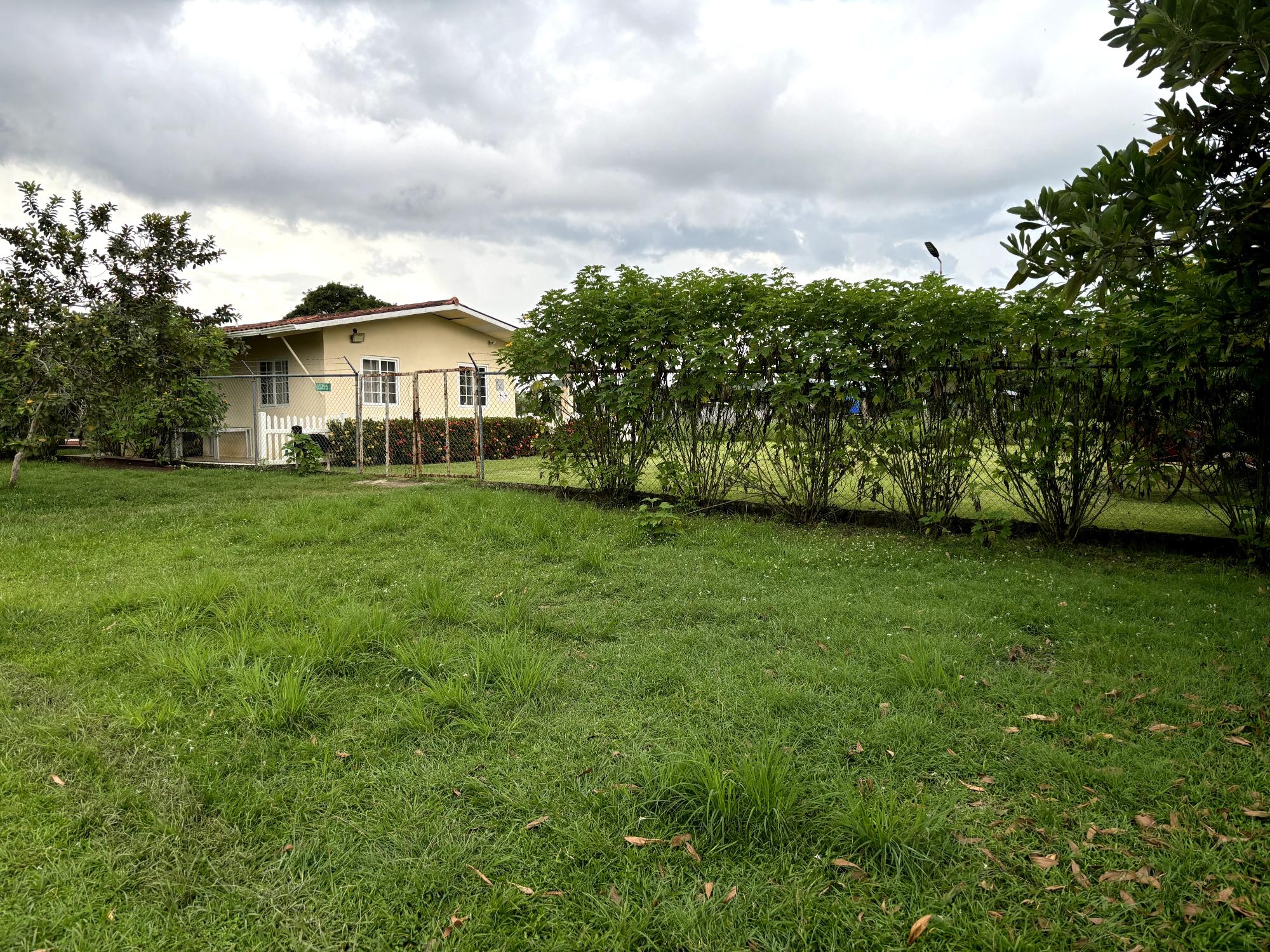res-00005fce-07.jpg