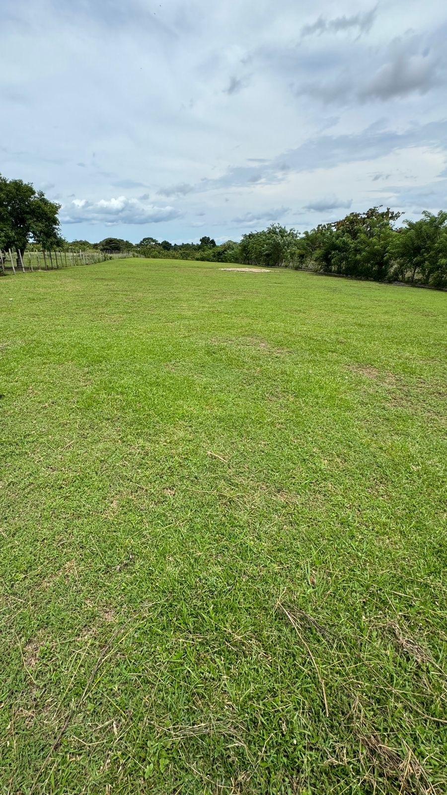 res-00005fce-17.jpg