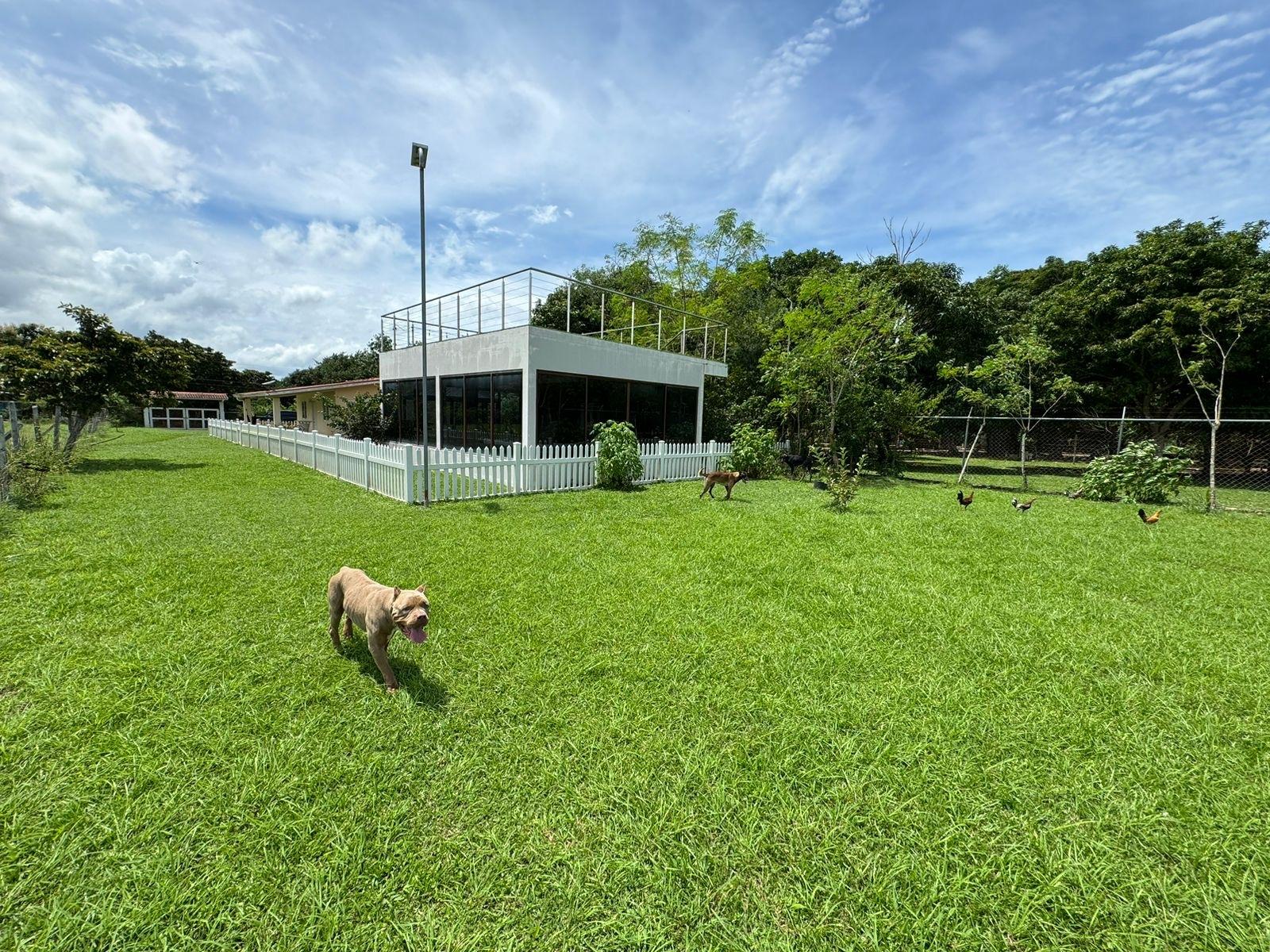 res-00005fce-18.jpg