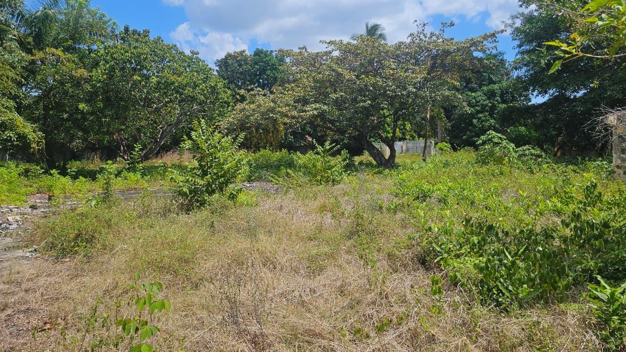 res-00005fd5-09.jpg