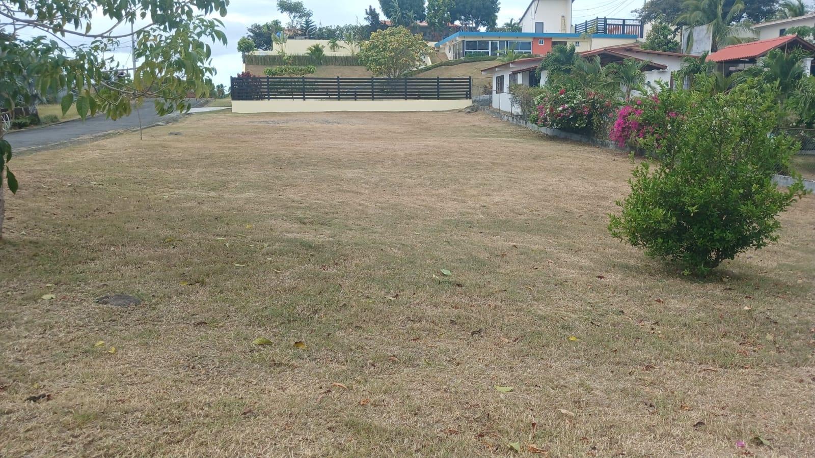 res-00005fe4-09.jpg