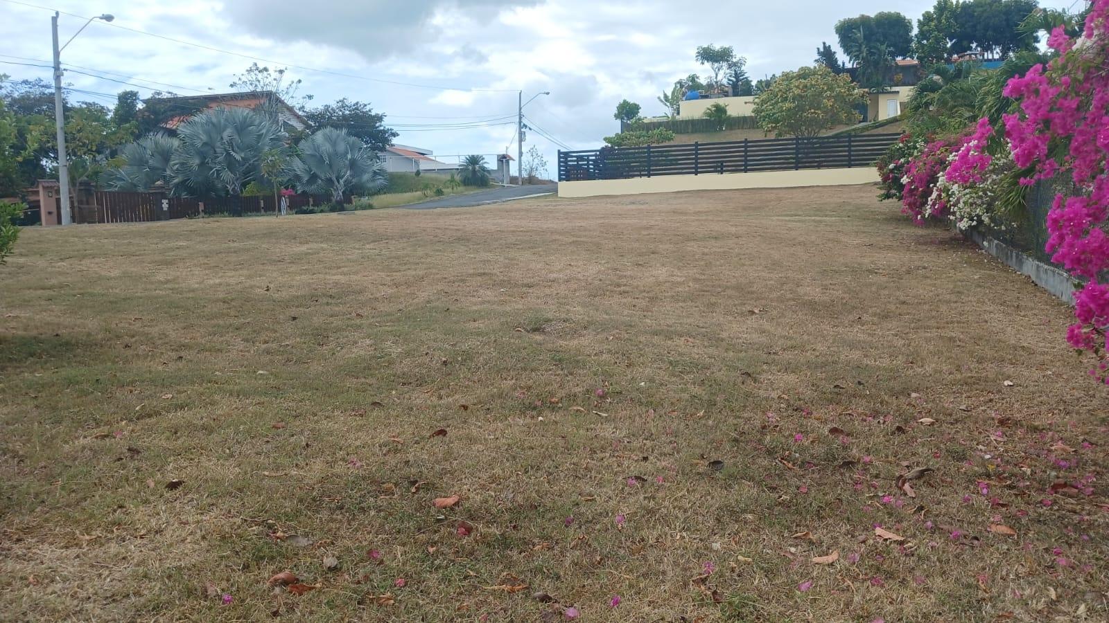 res-00005fe4-10.jpg