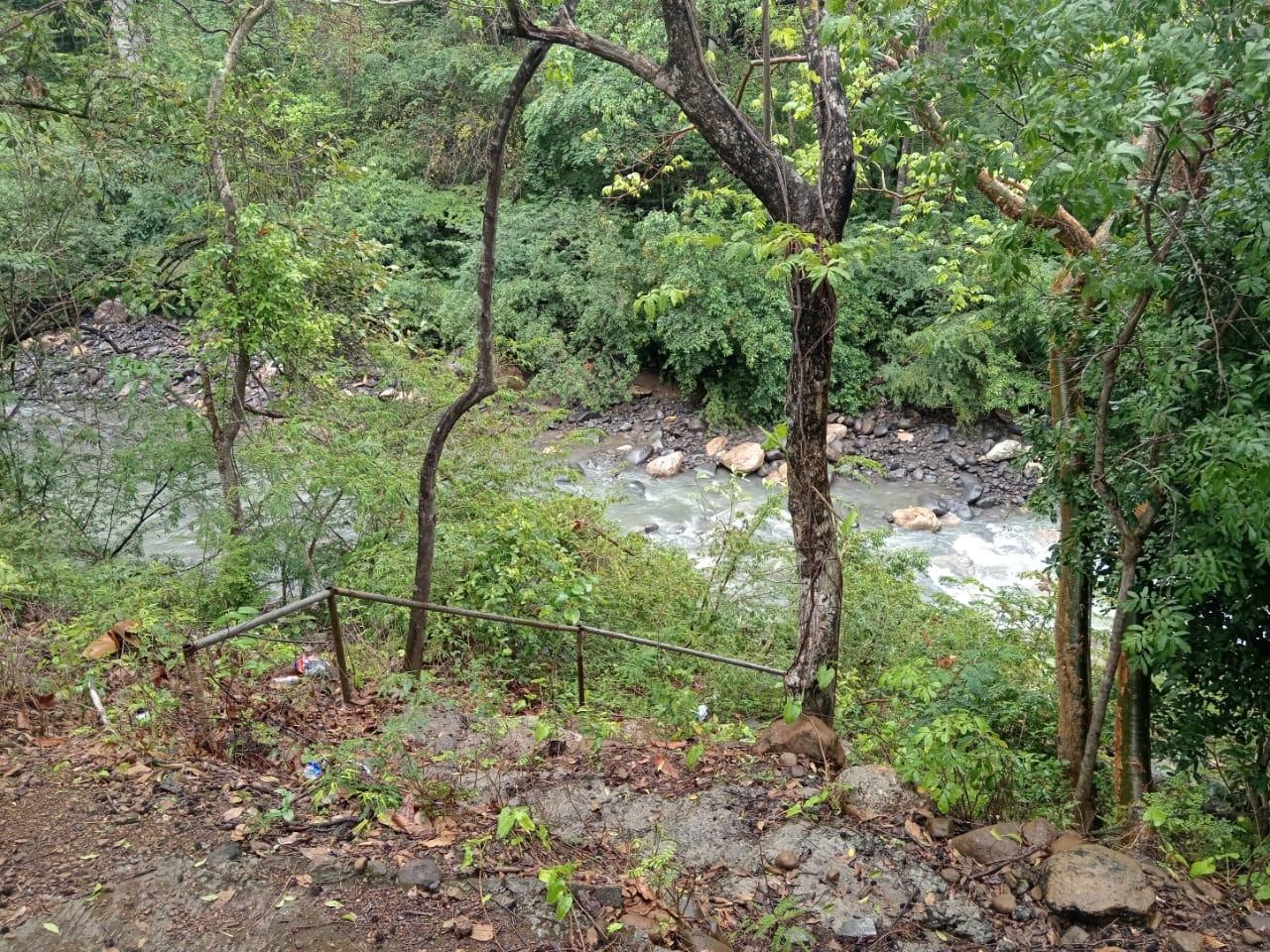 res-0000600c-15.jpg