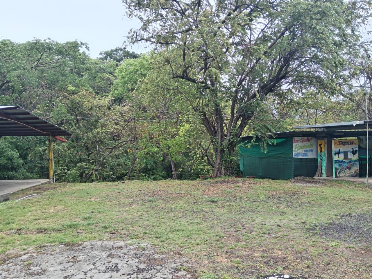 res-0000600c-19.jpg