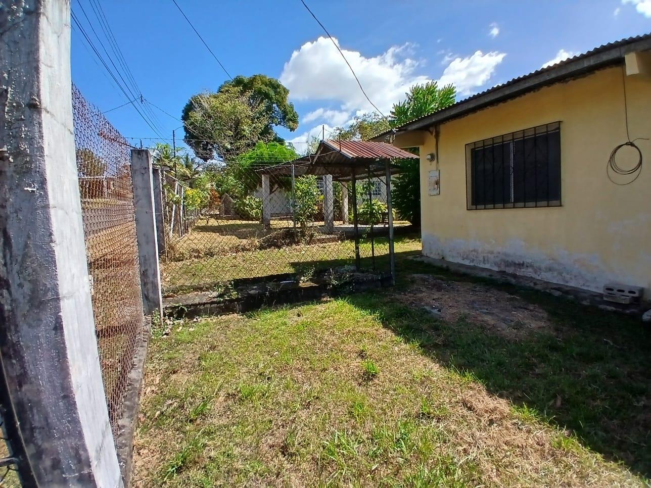 res-00006010-07.jpg
