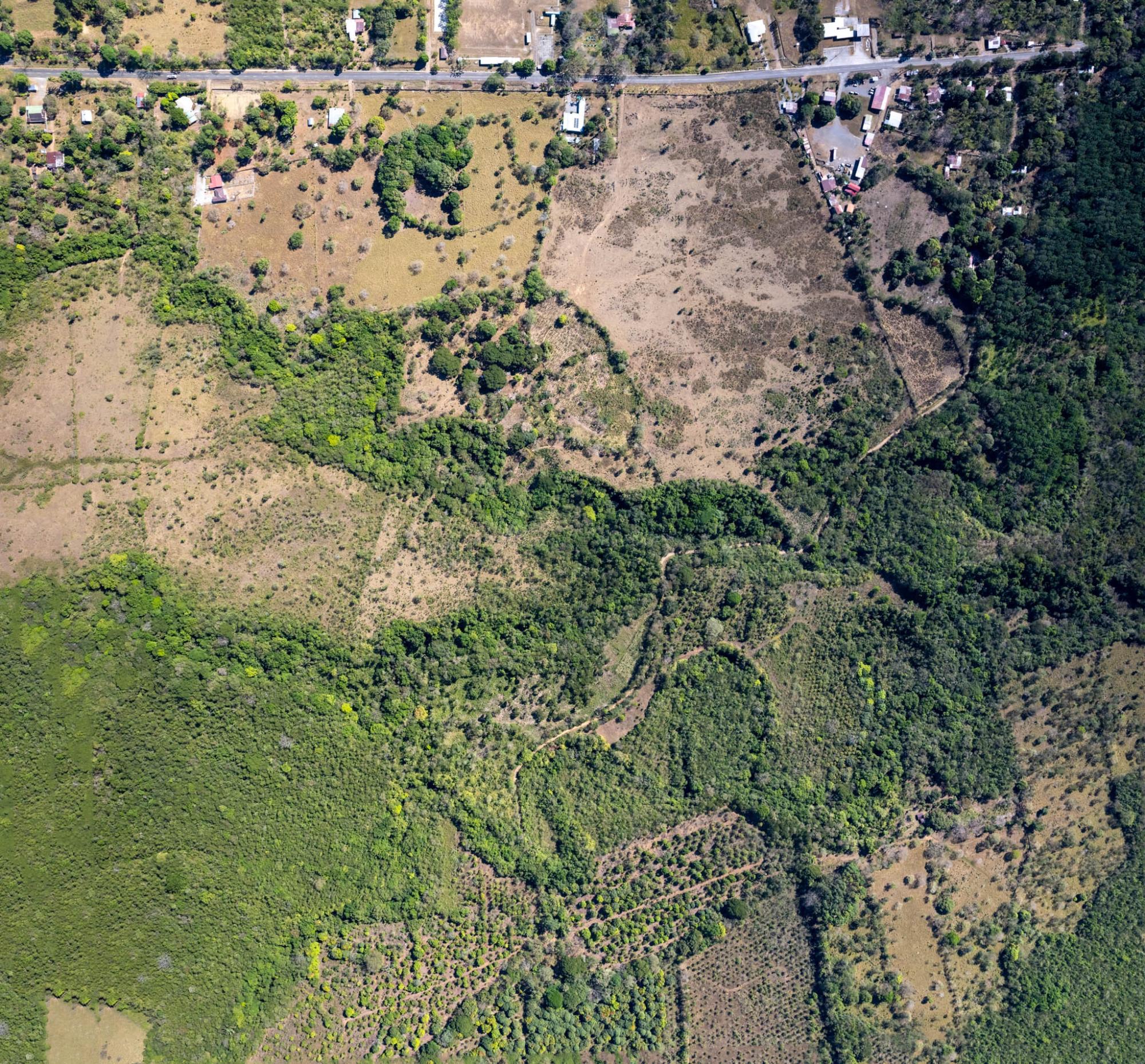 res-00006011-04.jpg