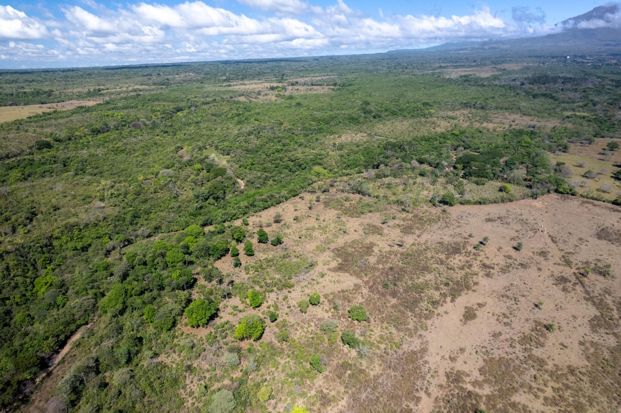 res-00006025-04.jpg