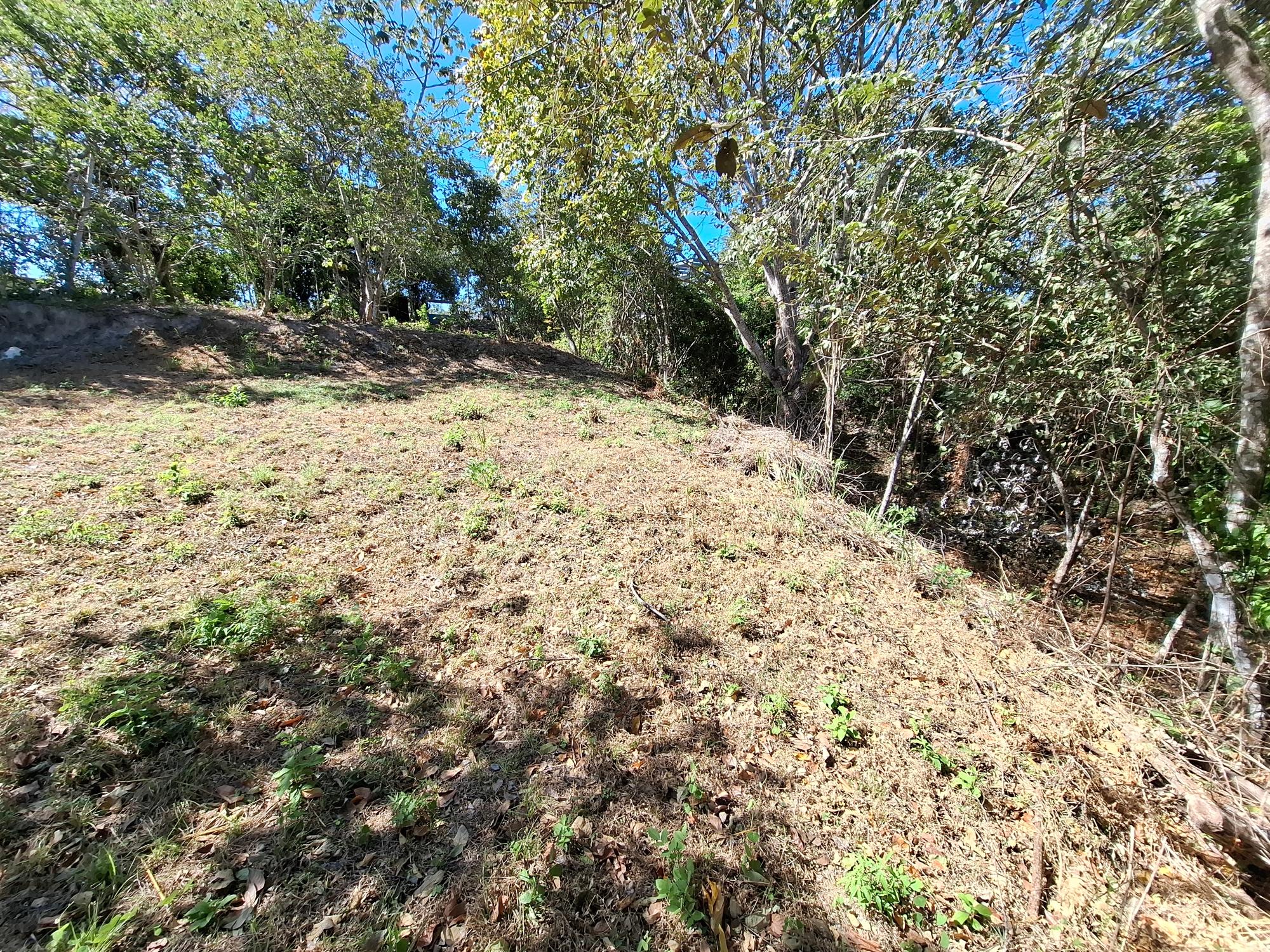 res-0000602b-04.jpg