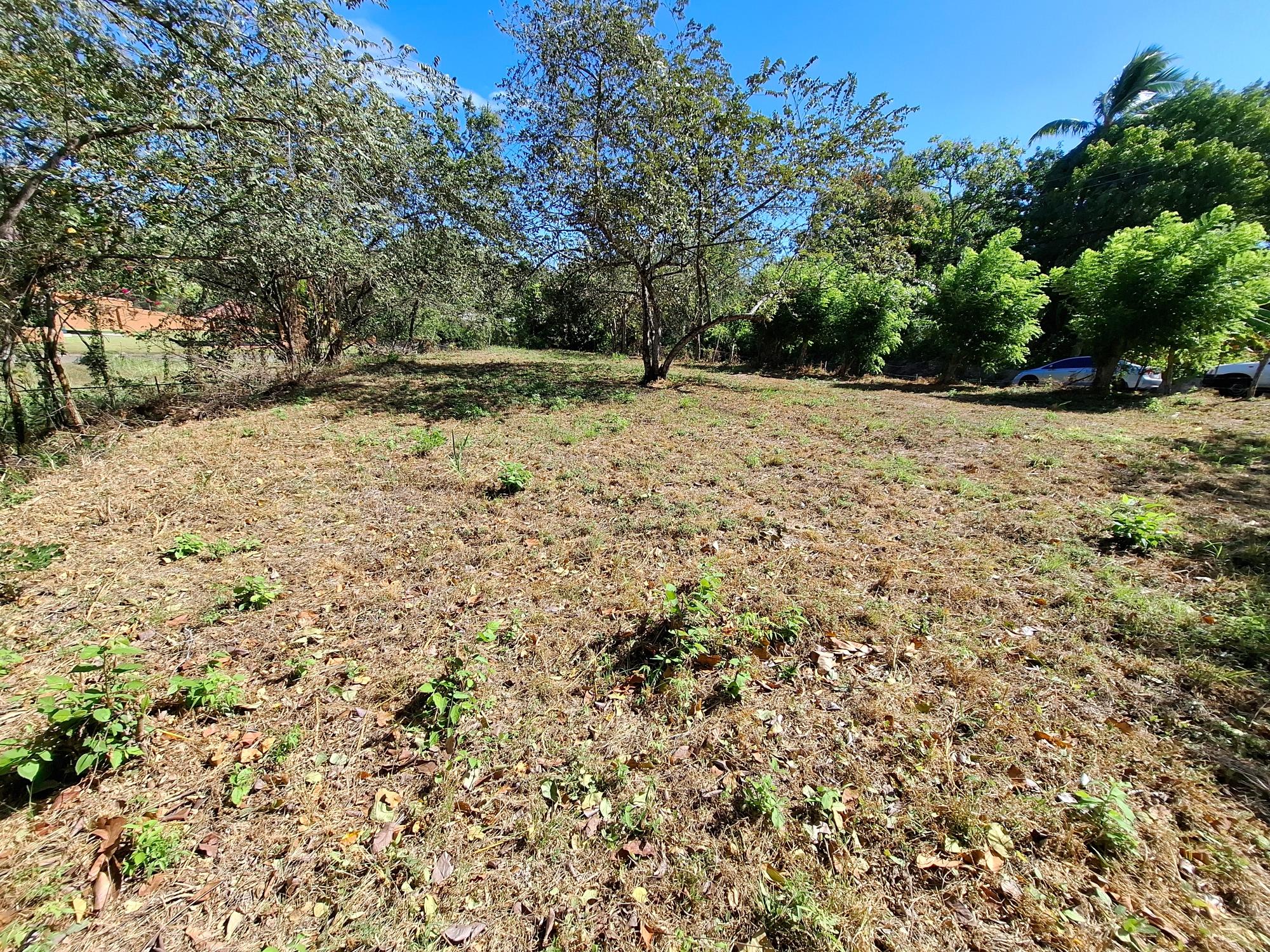 res-0000602b-06.jpg