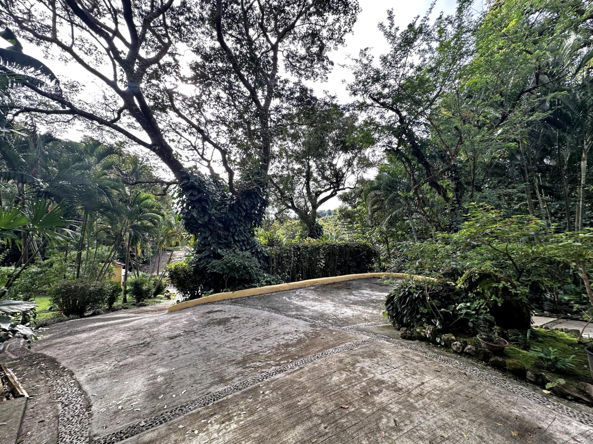 res-0000604b-02.jpg