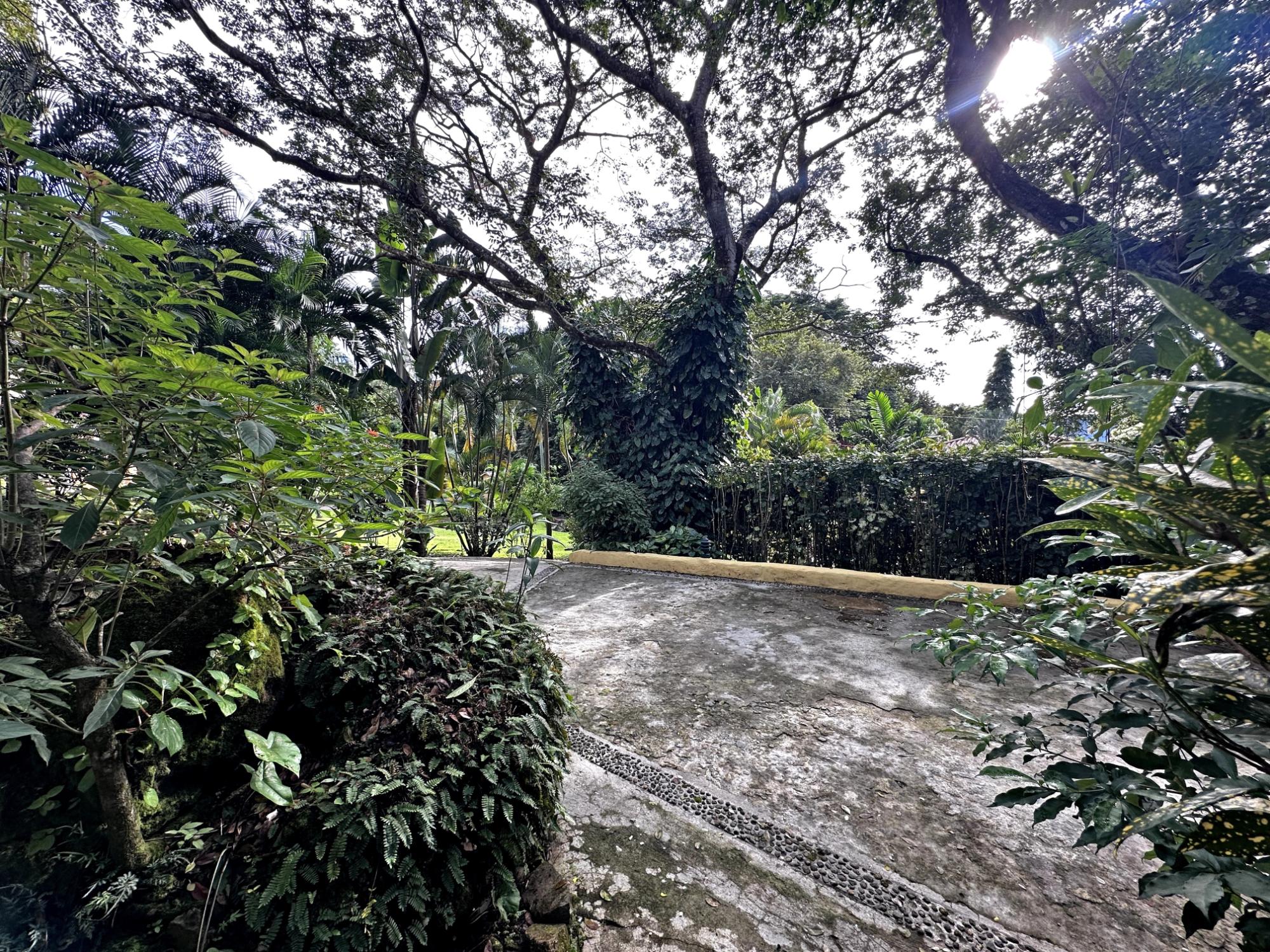 res-0000604b-04.jpg