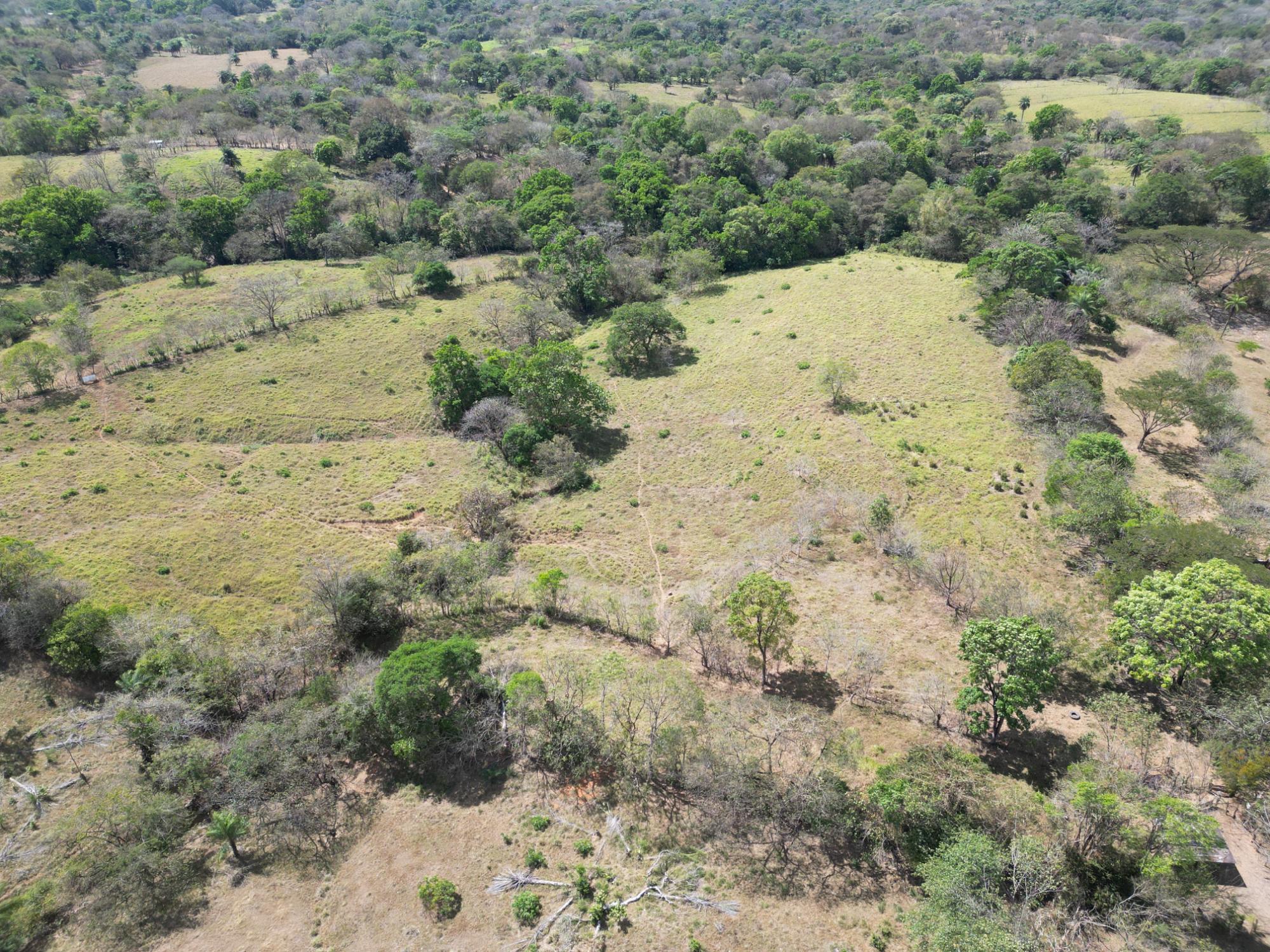 res-00006052-03.jpg