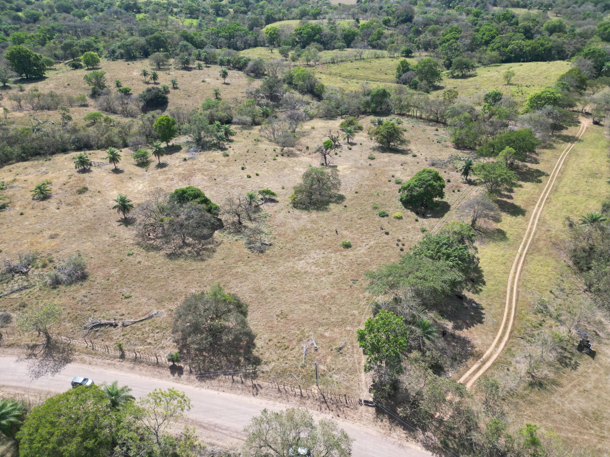 res-00006052-04.jpg