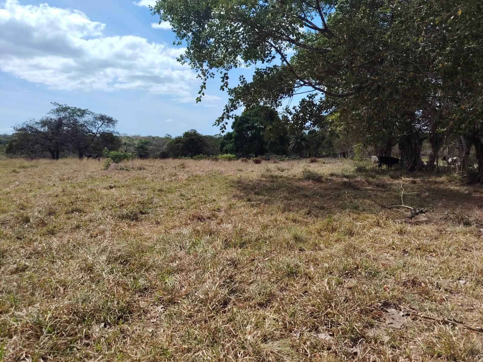 res-00006052-06.jpg