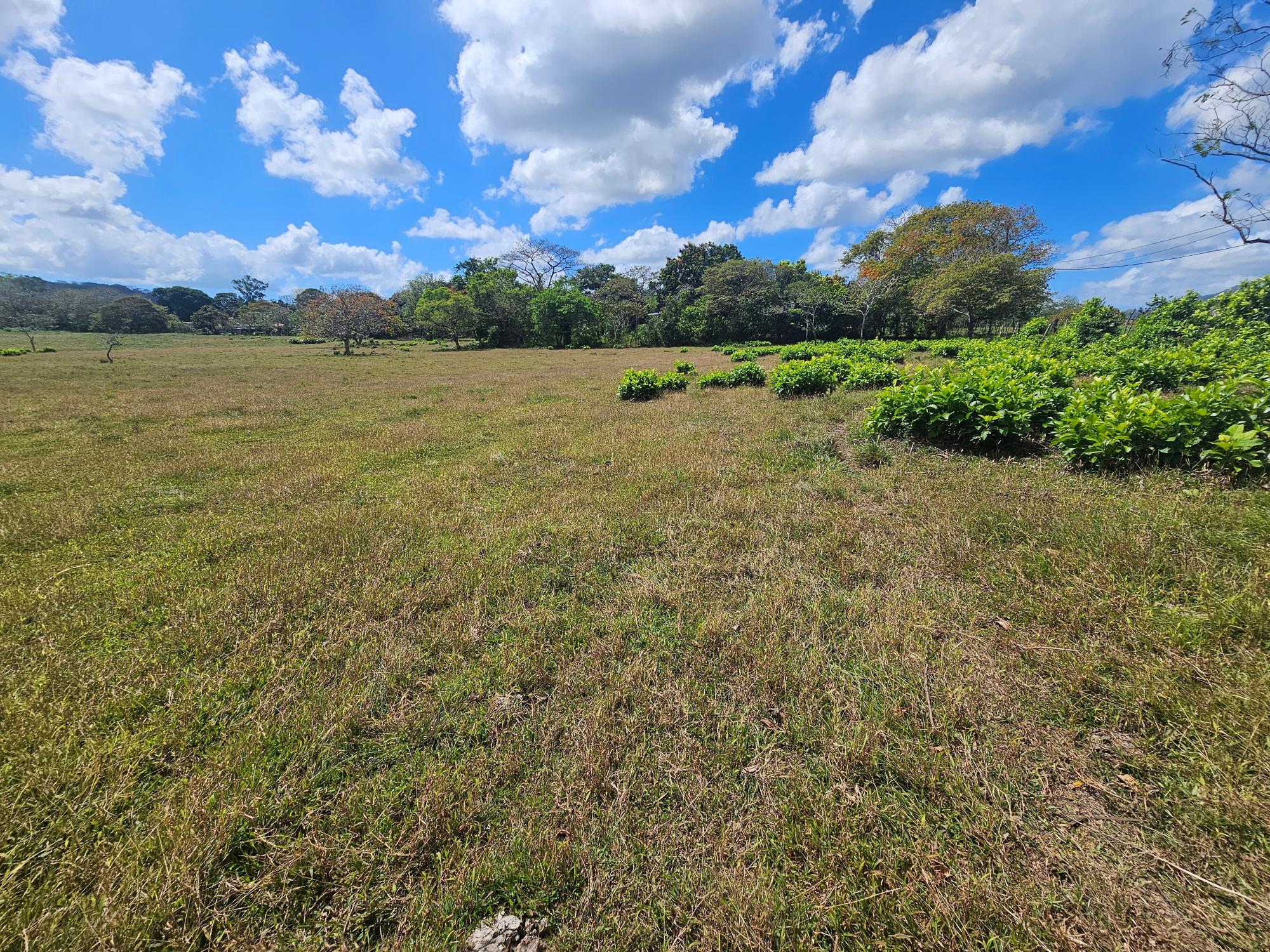 res-00006056-01.jpg
