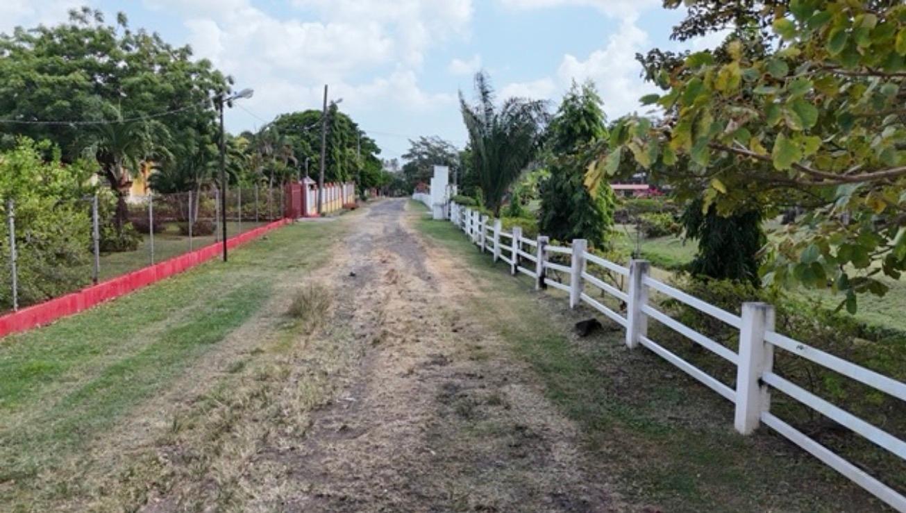 res-00006062-03.jpg