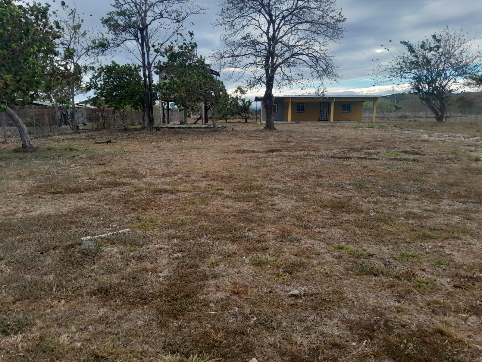 res-00006078-01.jpg