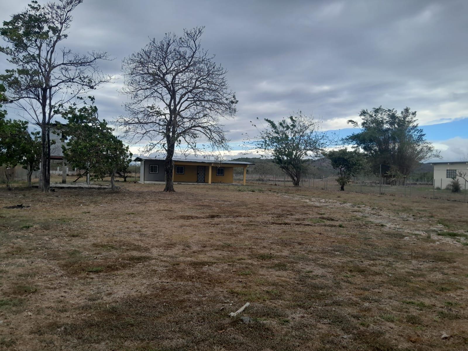 res-00006078-04.jpg