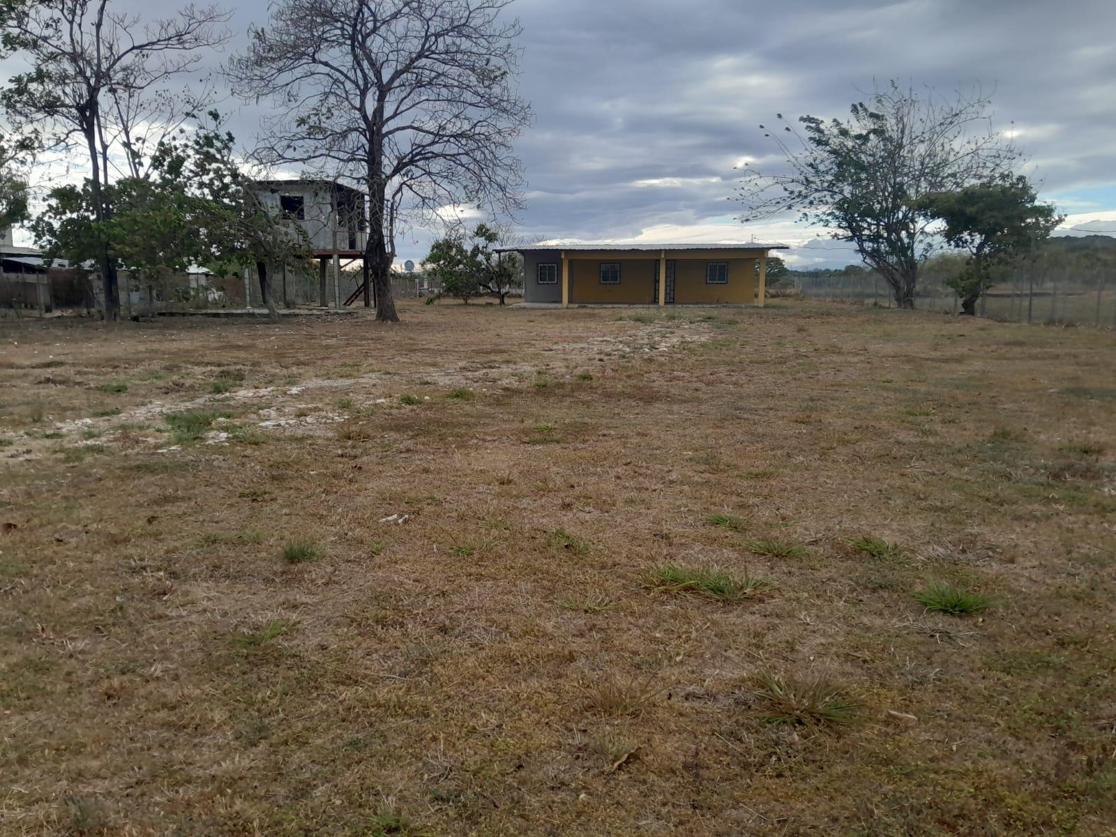 res-00006078-06.jpg