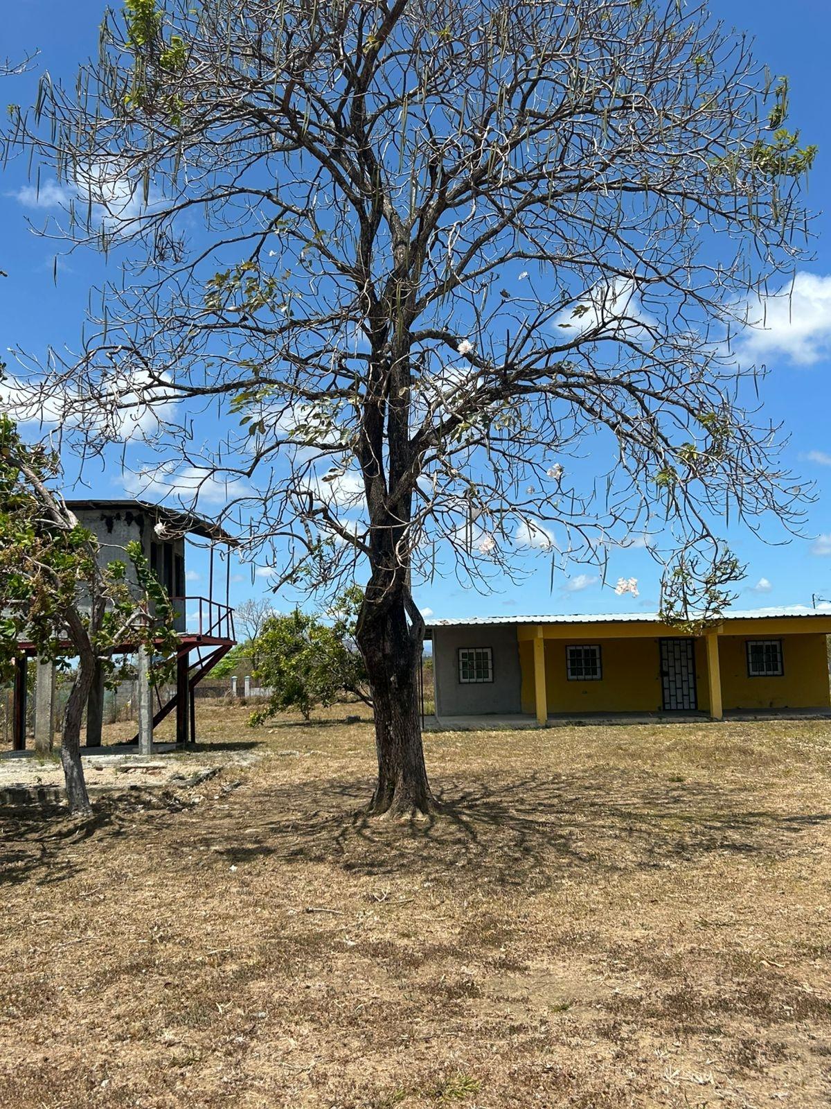 res-00006078-11.jpg