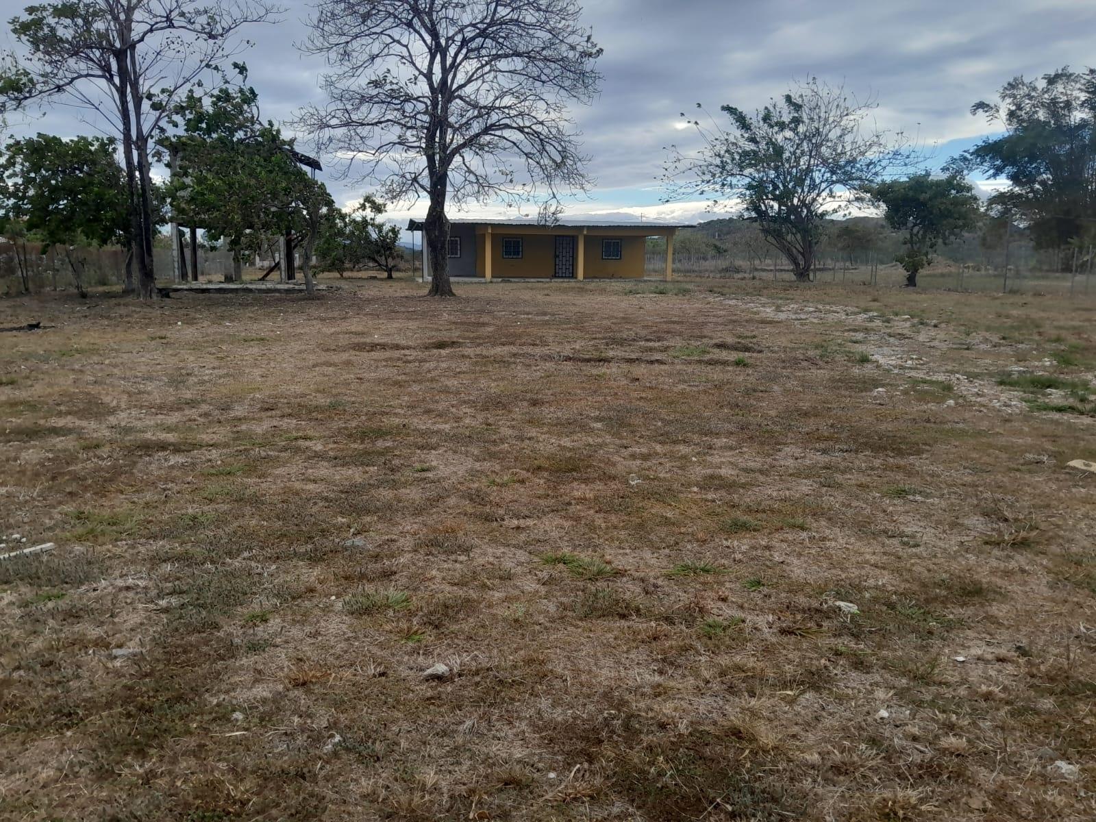 res-00006078-13.jpg