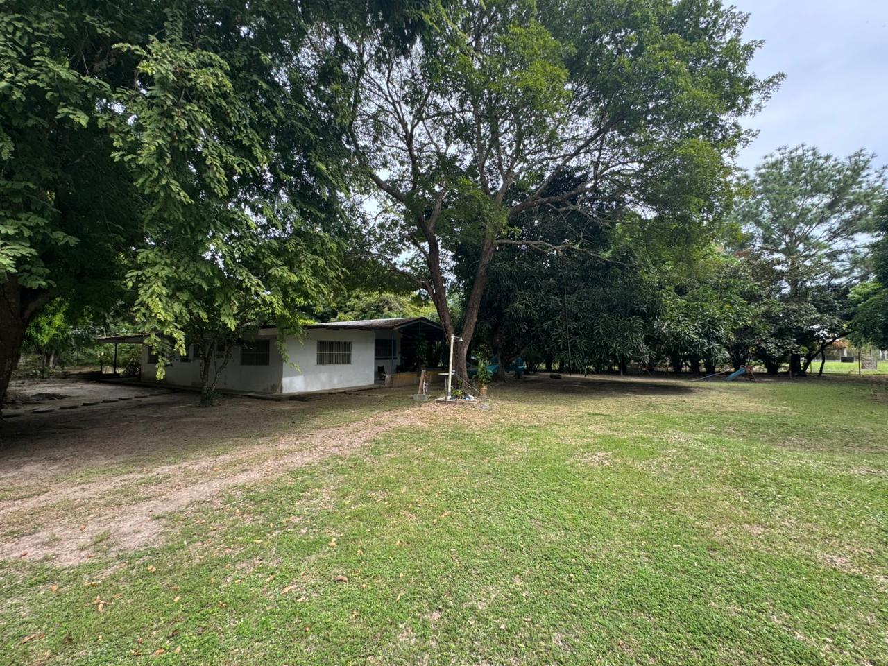 res-00006079-11.jpg