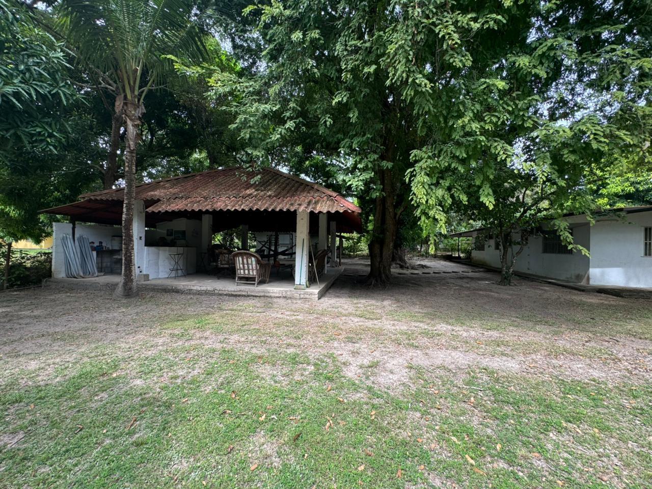 res-00006079-12.jpg