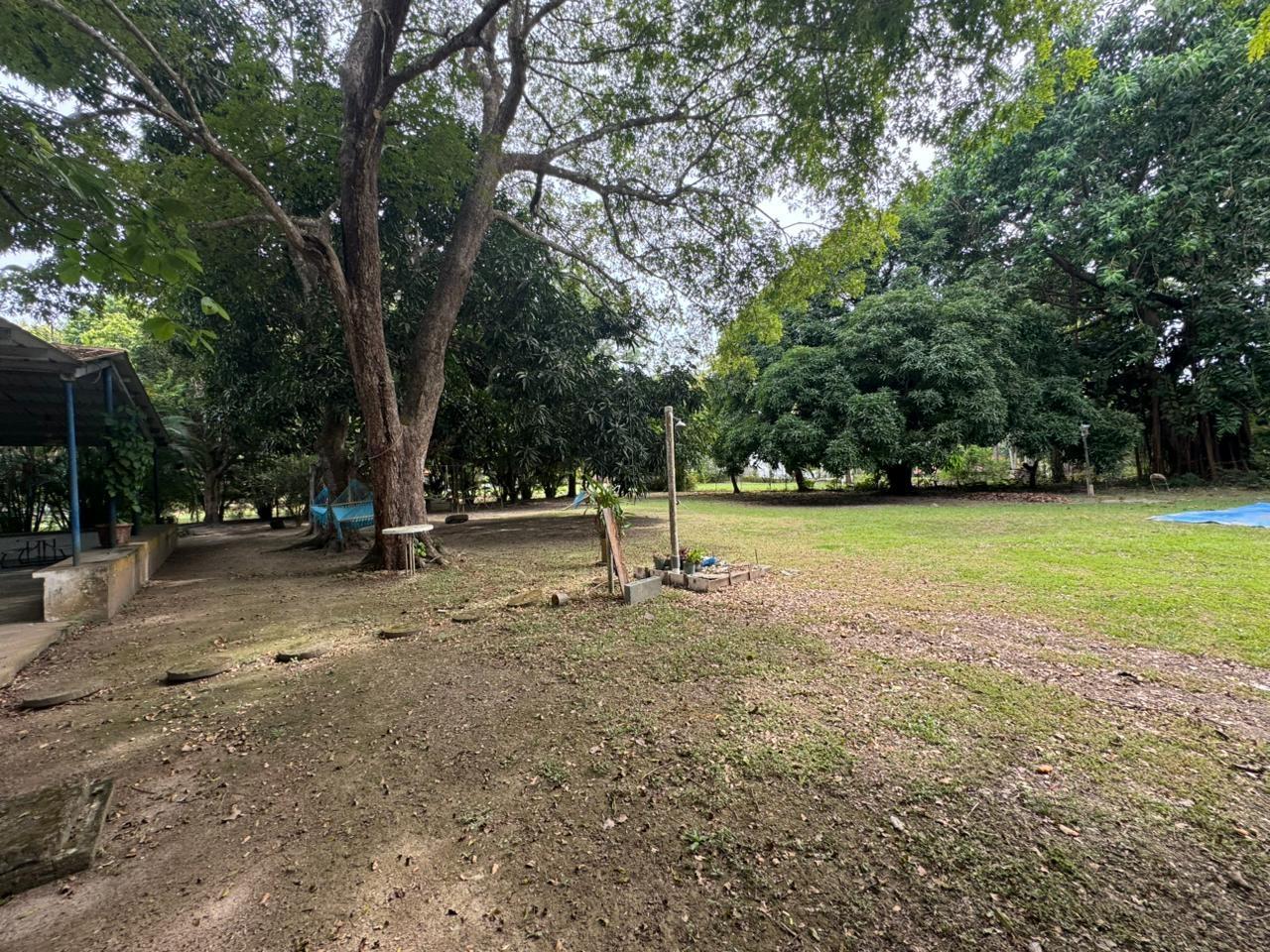 res-00006079-17.jpg