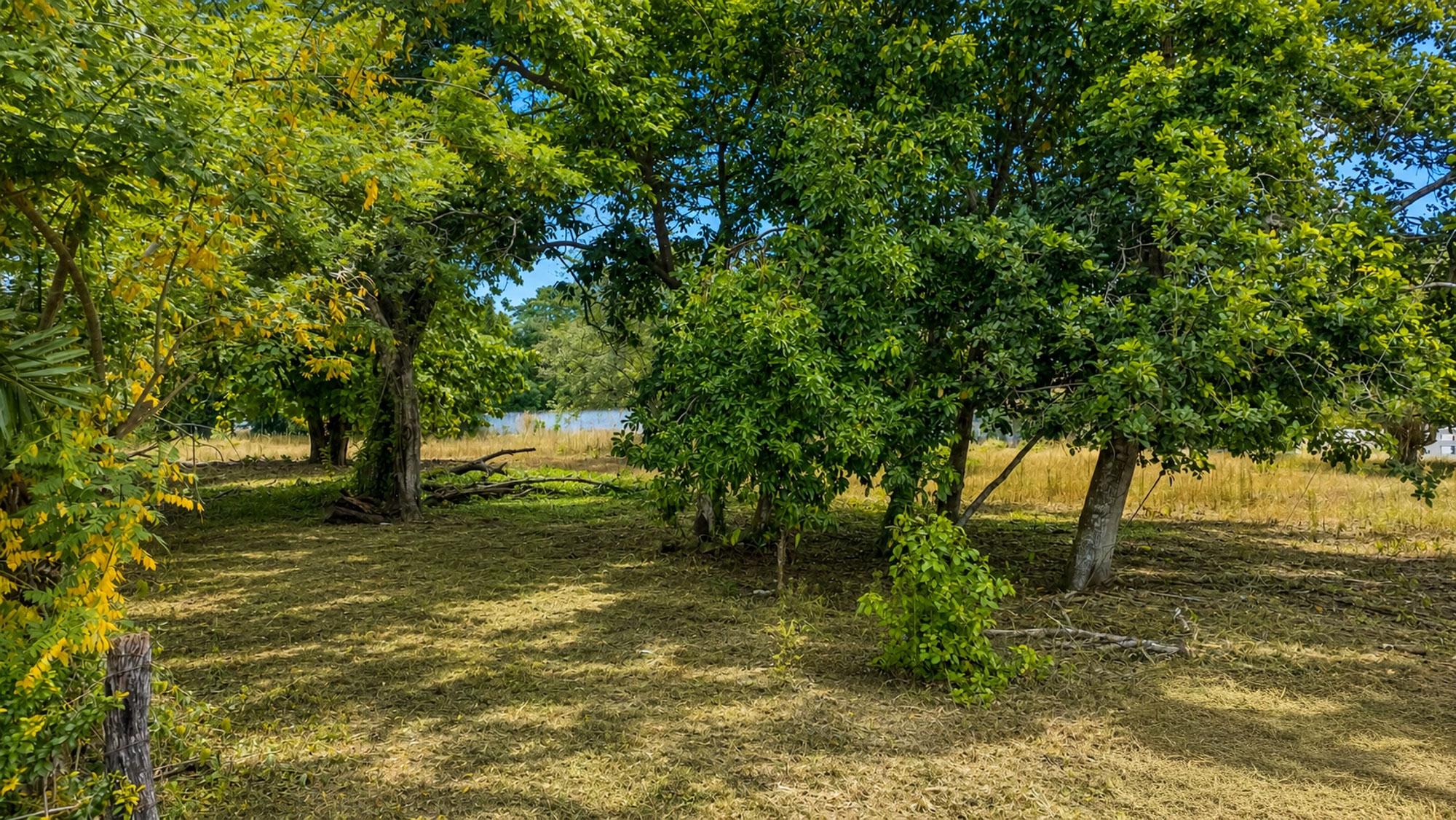 res-0000607b-06.jpg
