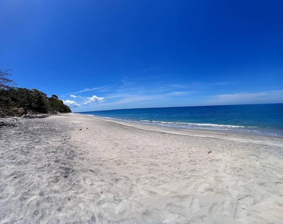 res-00006096-09.jpg