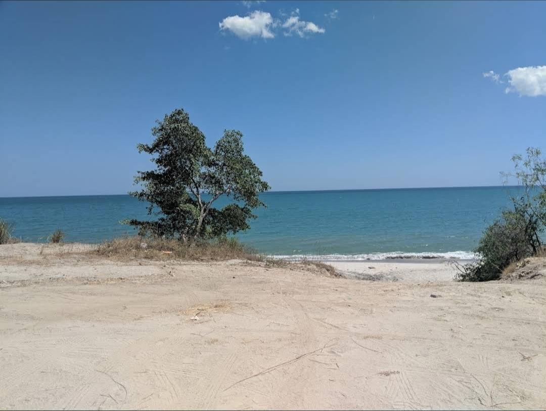 res-00006096-10.jpg