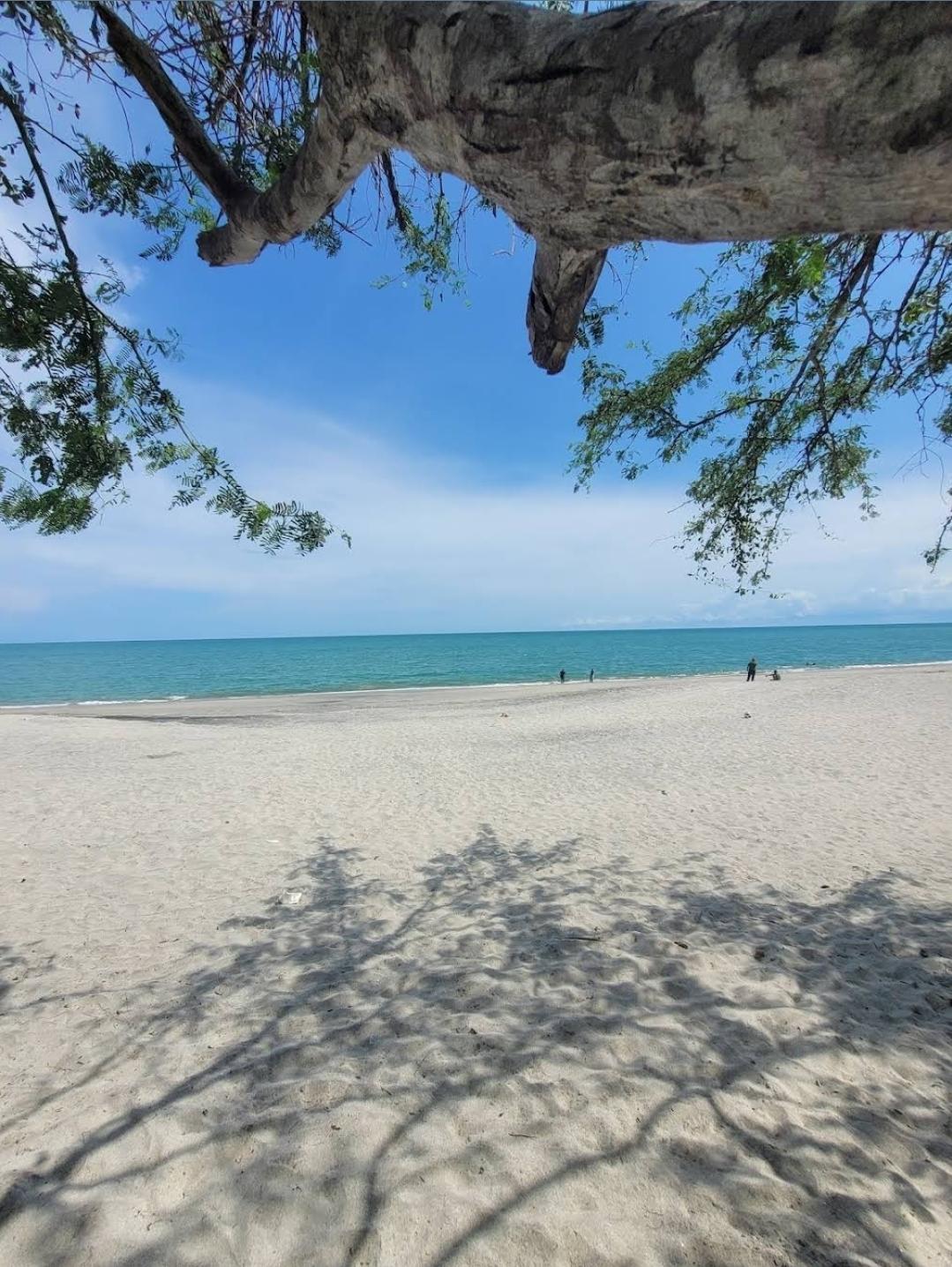 res-00006096-20.jpg