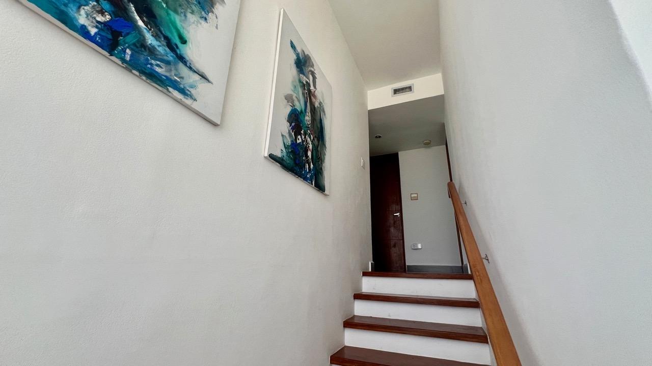 res-00006098-16.jpg
