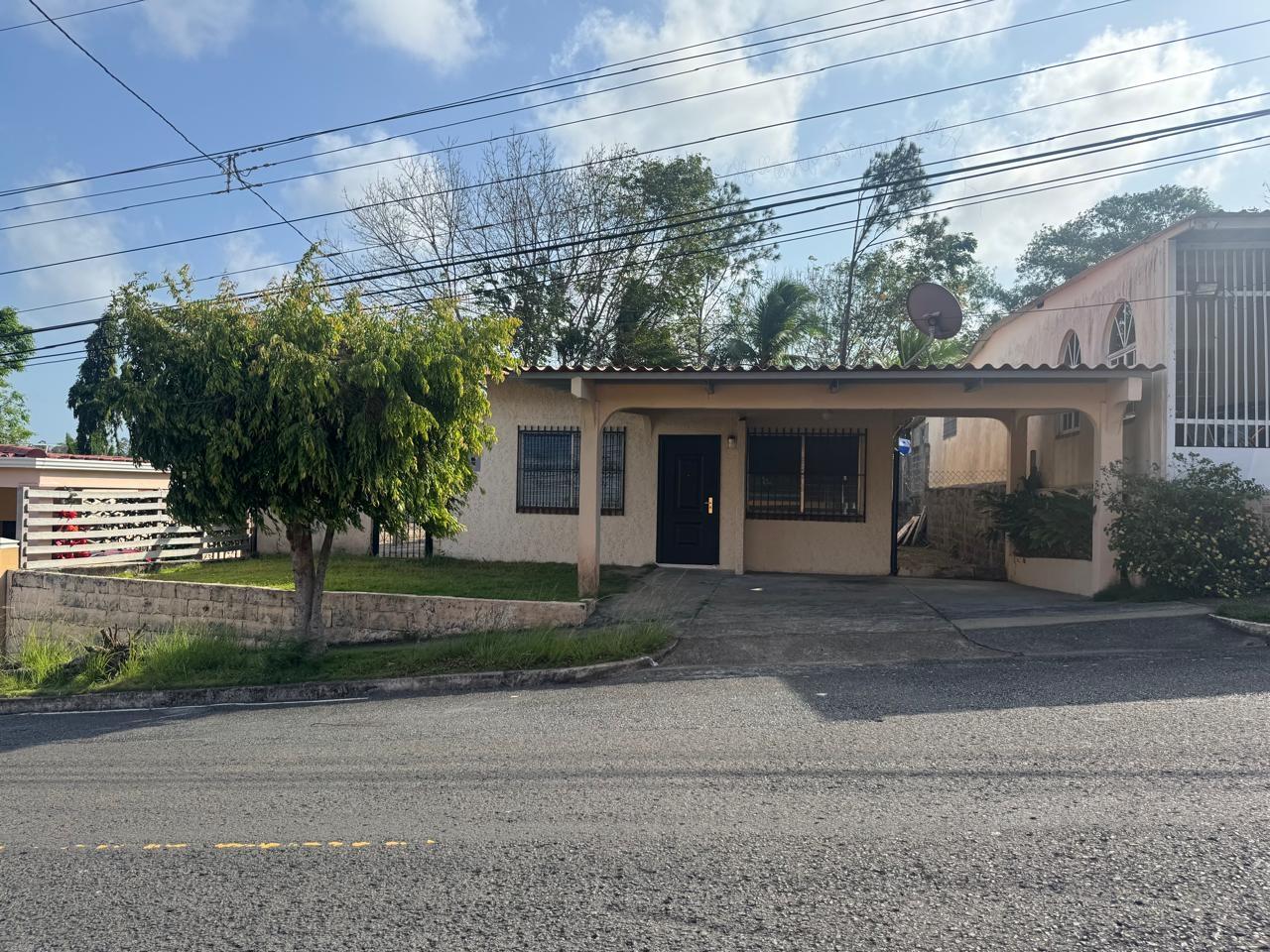 res-00006099-02.jpg
