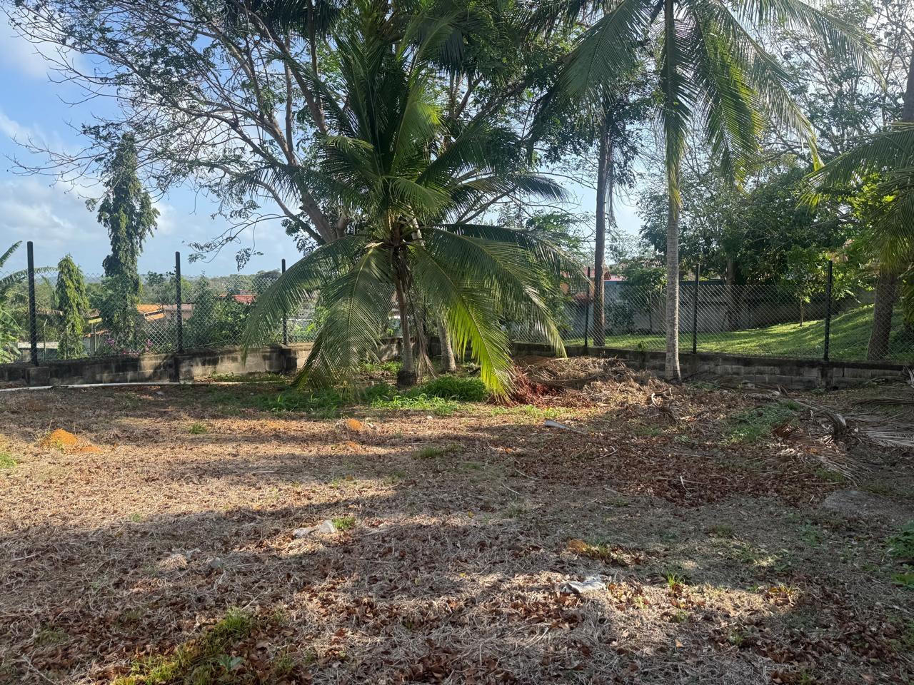 res-00006099-20.jpg