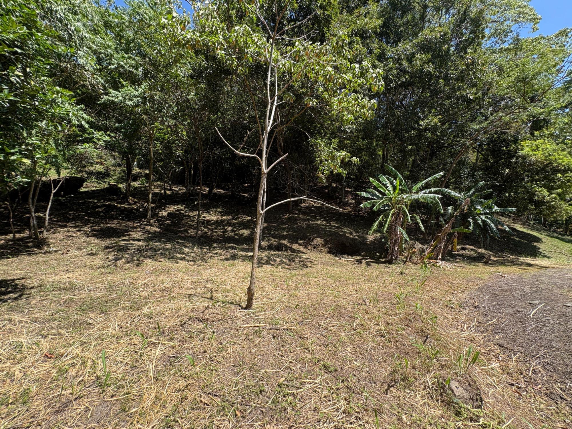res-000060a0-07.jpg