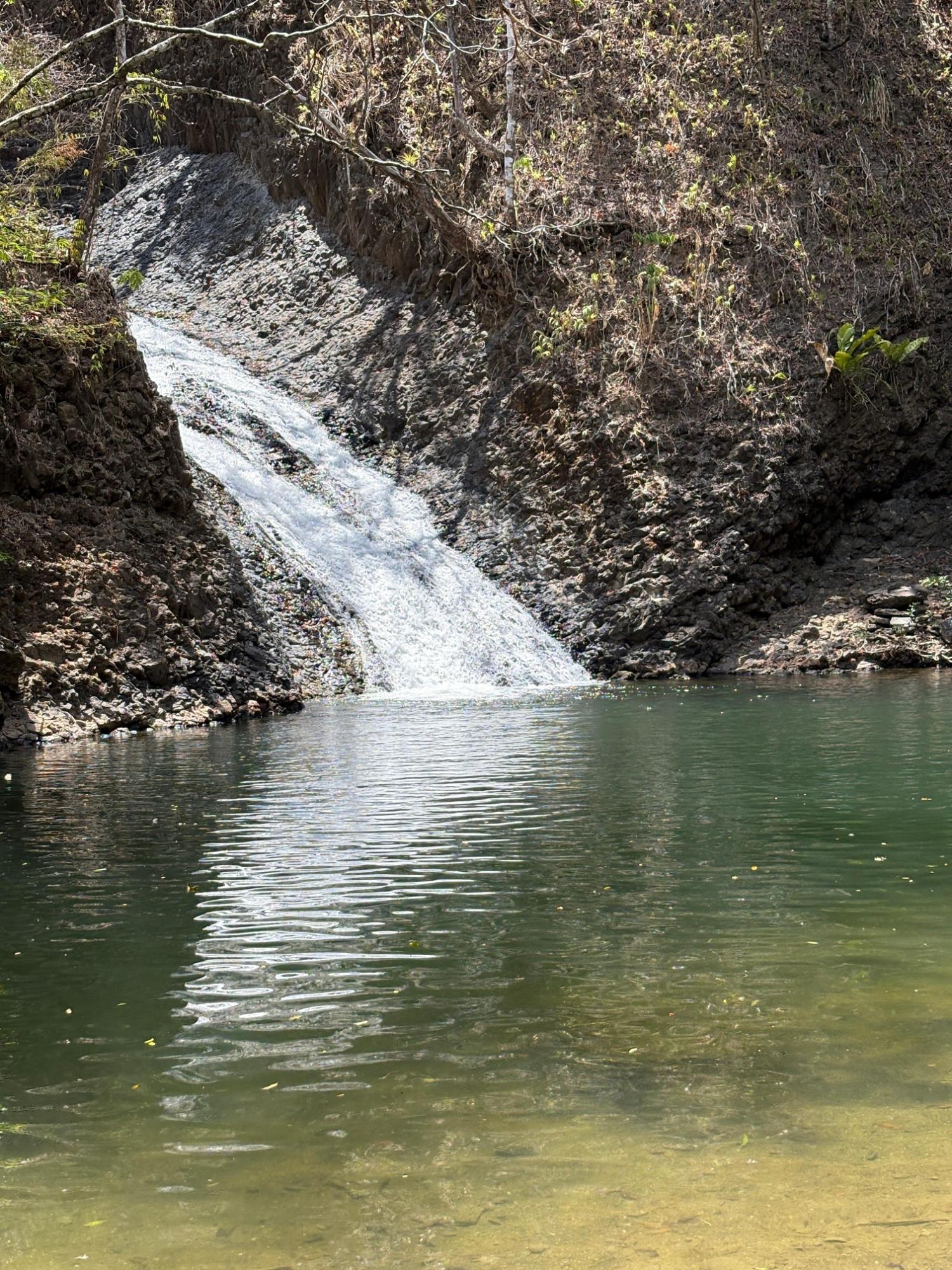 res-000060a0-09.jpg