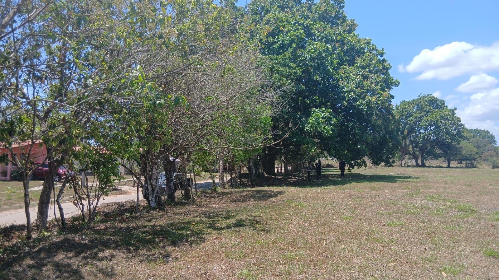 res-000060bd-05.jpg