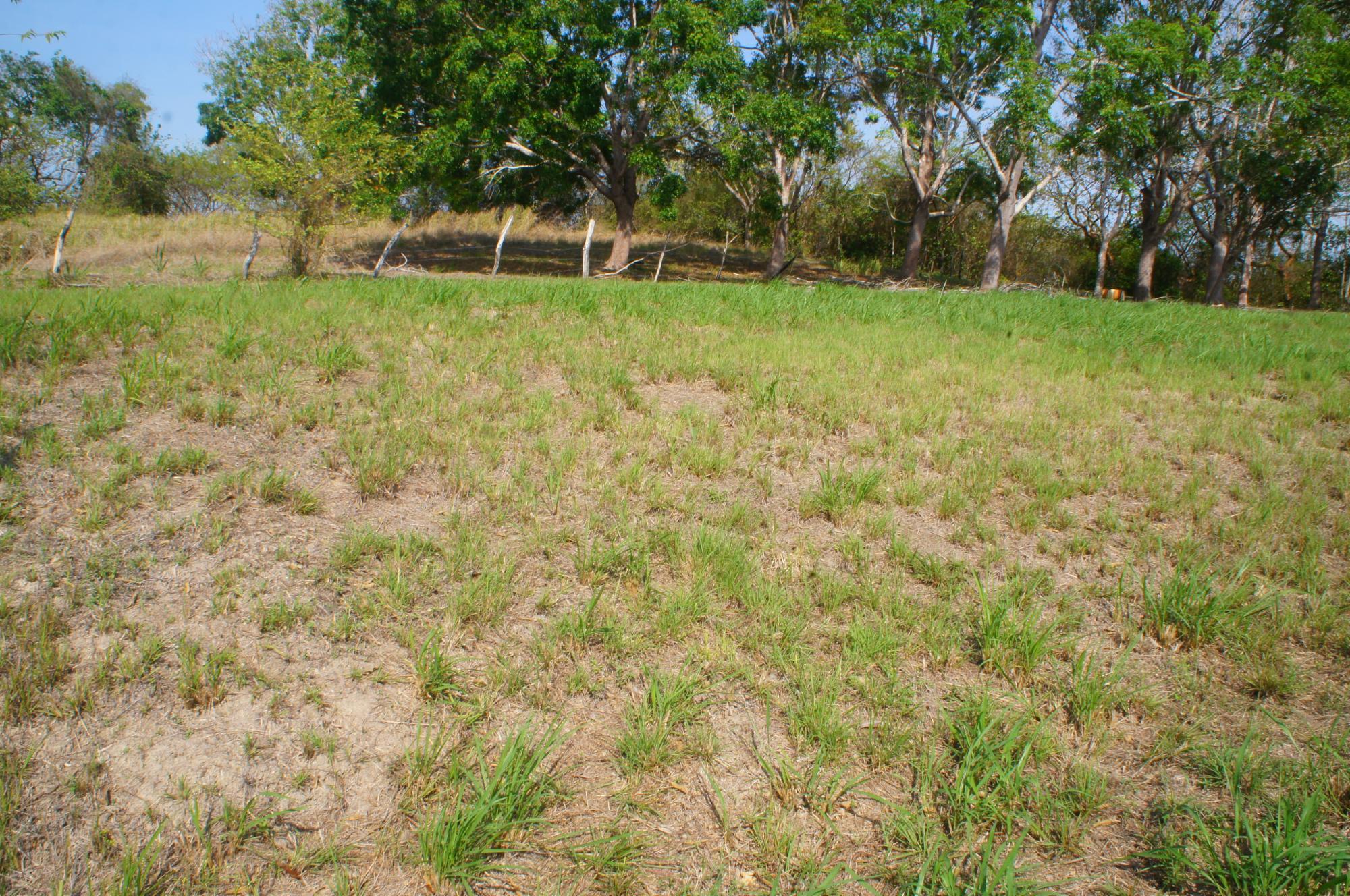 res-000060cb-03.jpg