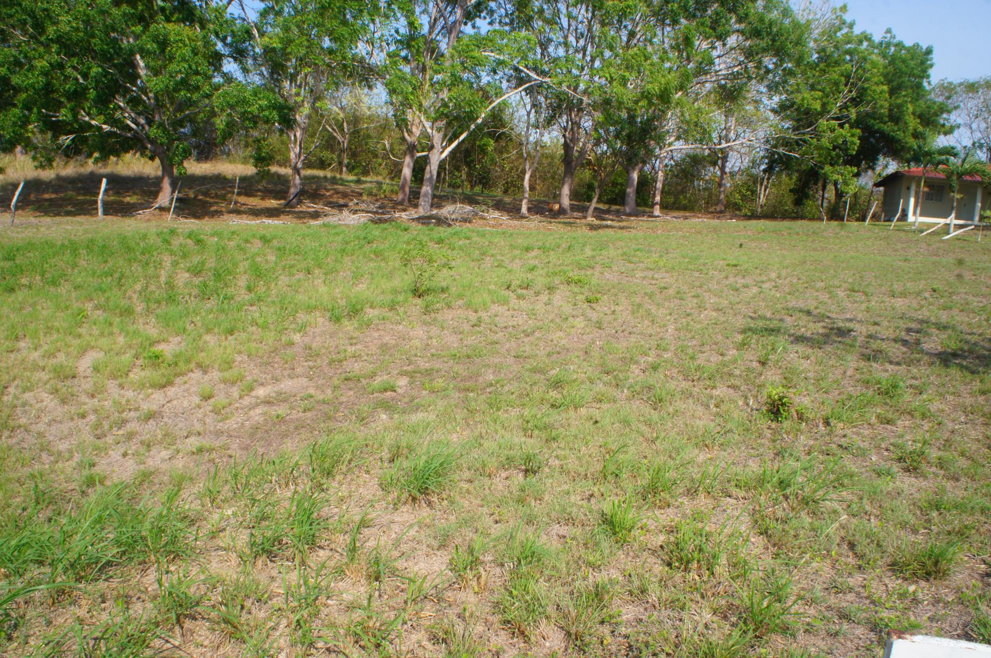 res-000060cb-05.jpg