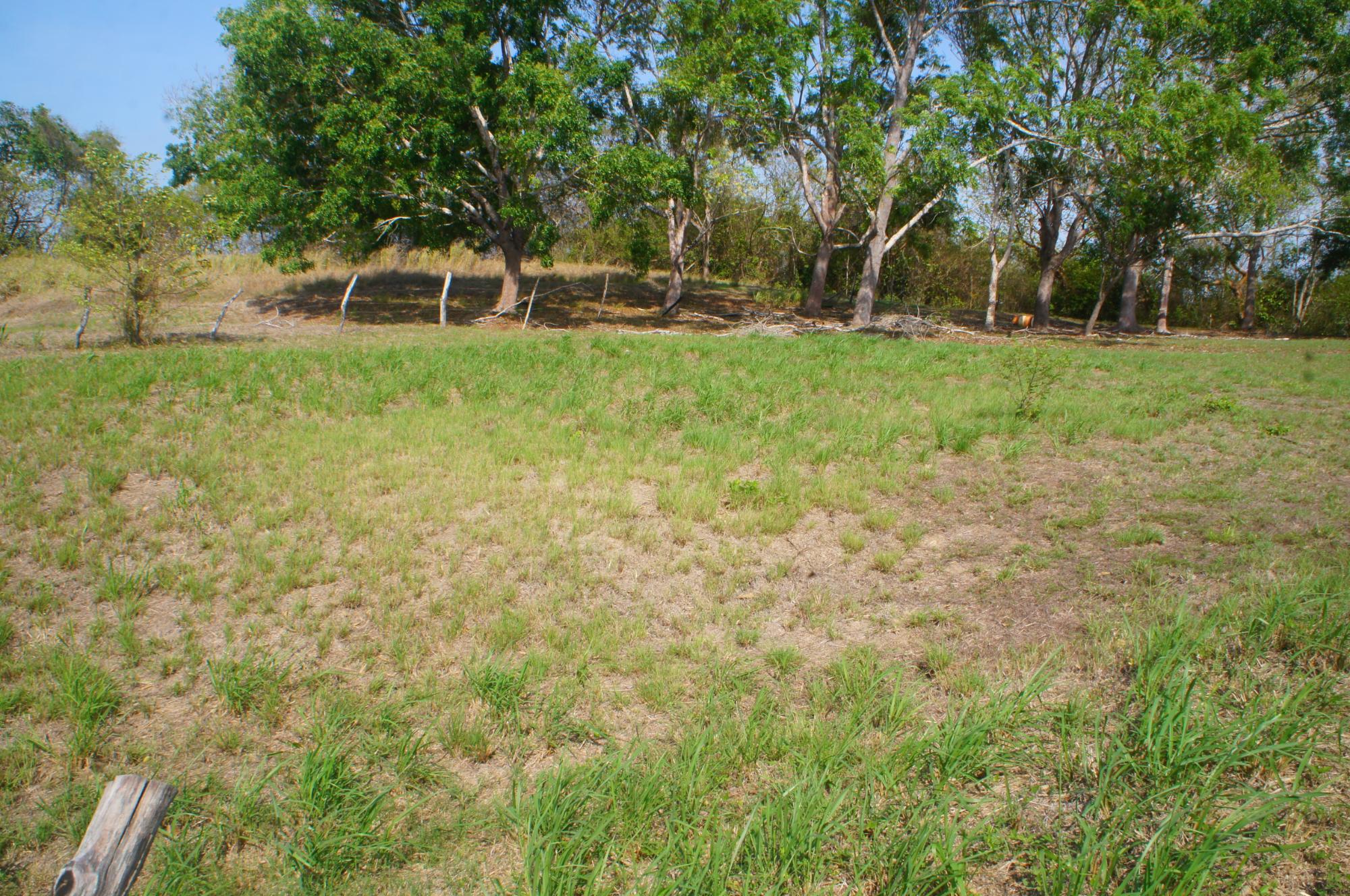 res-000060cb-06.jpg