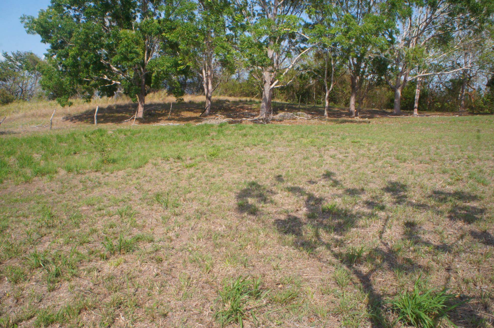 res-000060cb-07.jpg