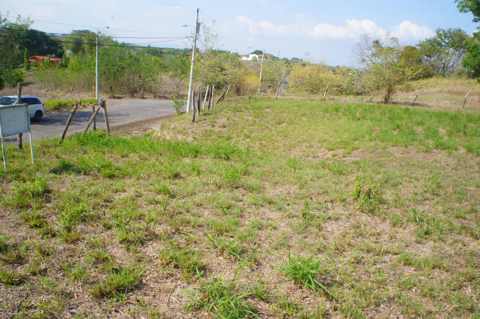 res-000060cb-08.jpg