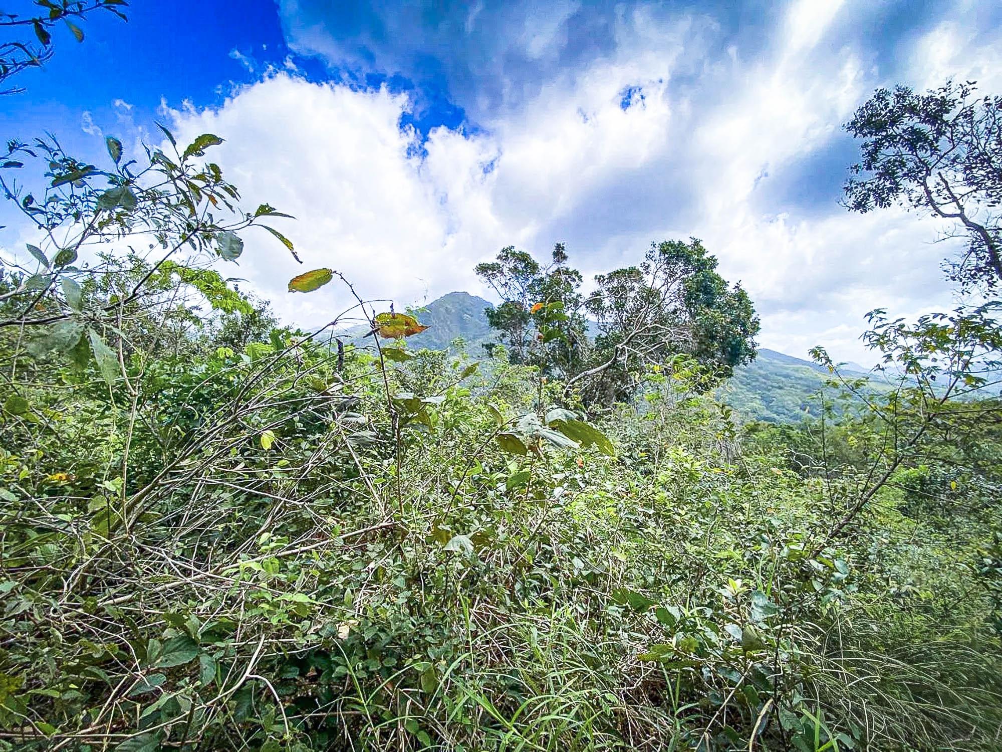 res-000060cd-13.jpg