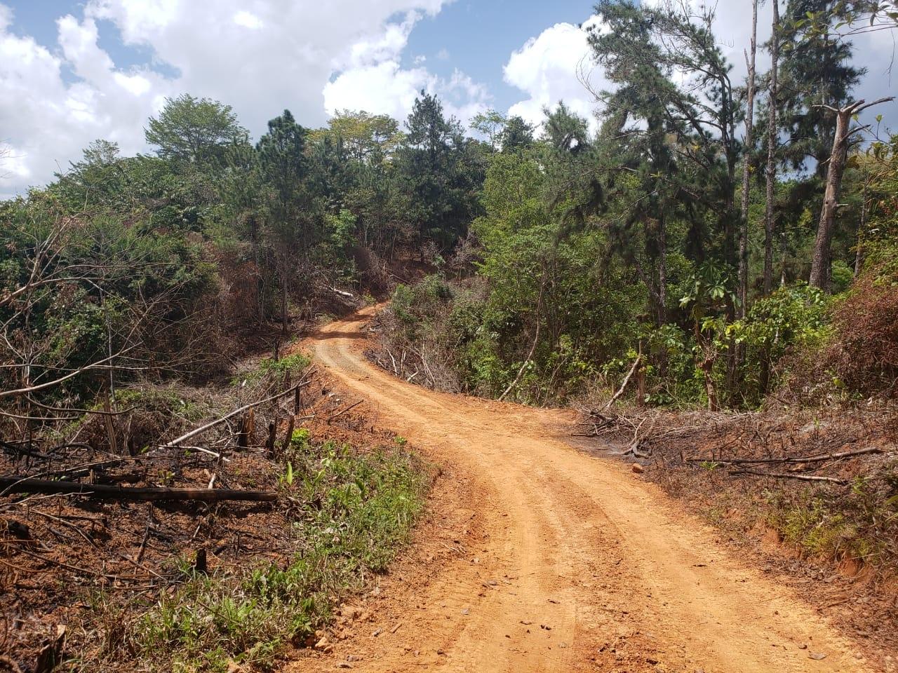 res-000060d0-06.jpg