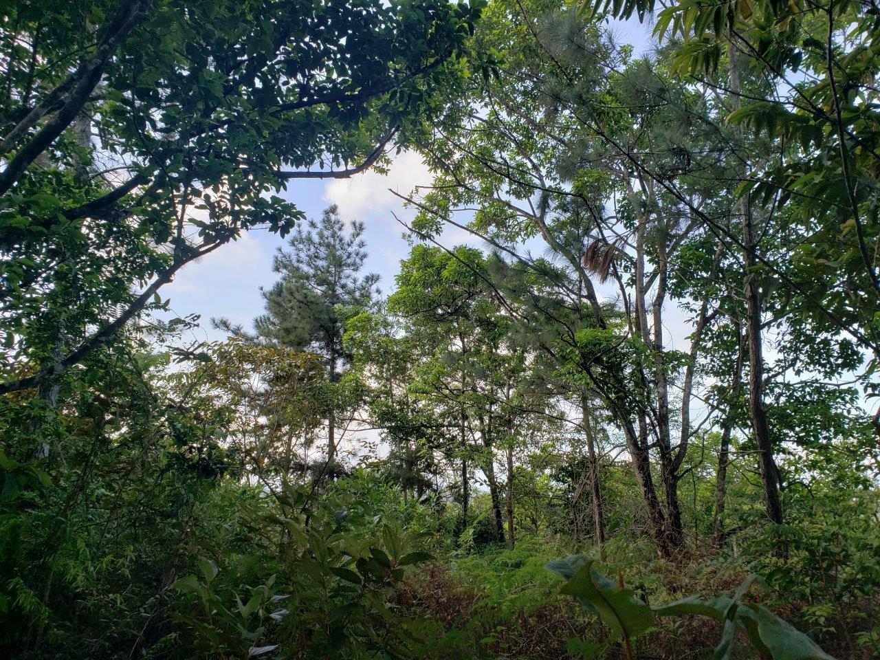 res-000060d0-09.jpg