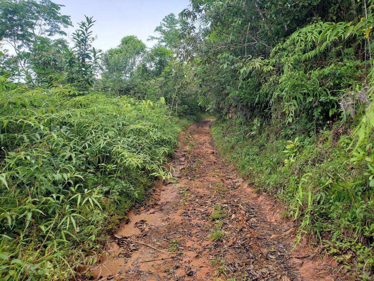 res-000060d0-10.jpg