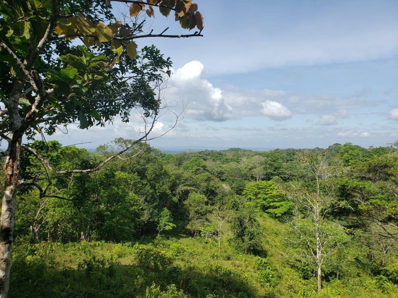 res-000060d0-12.jpg