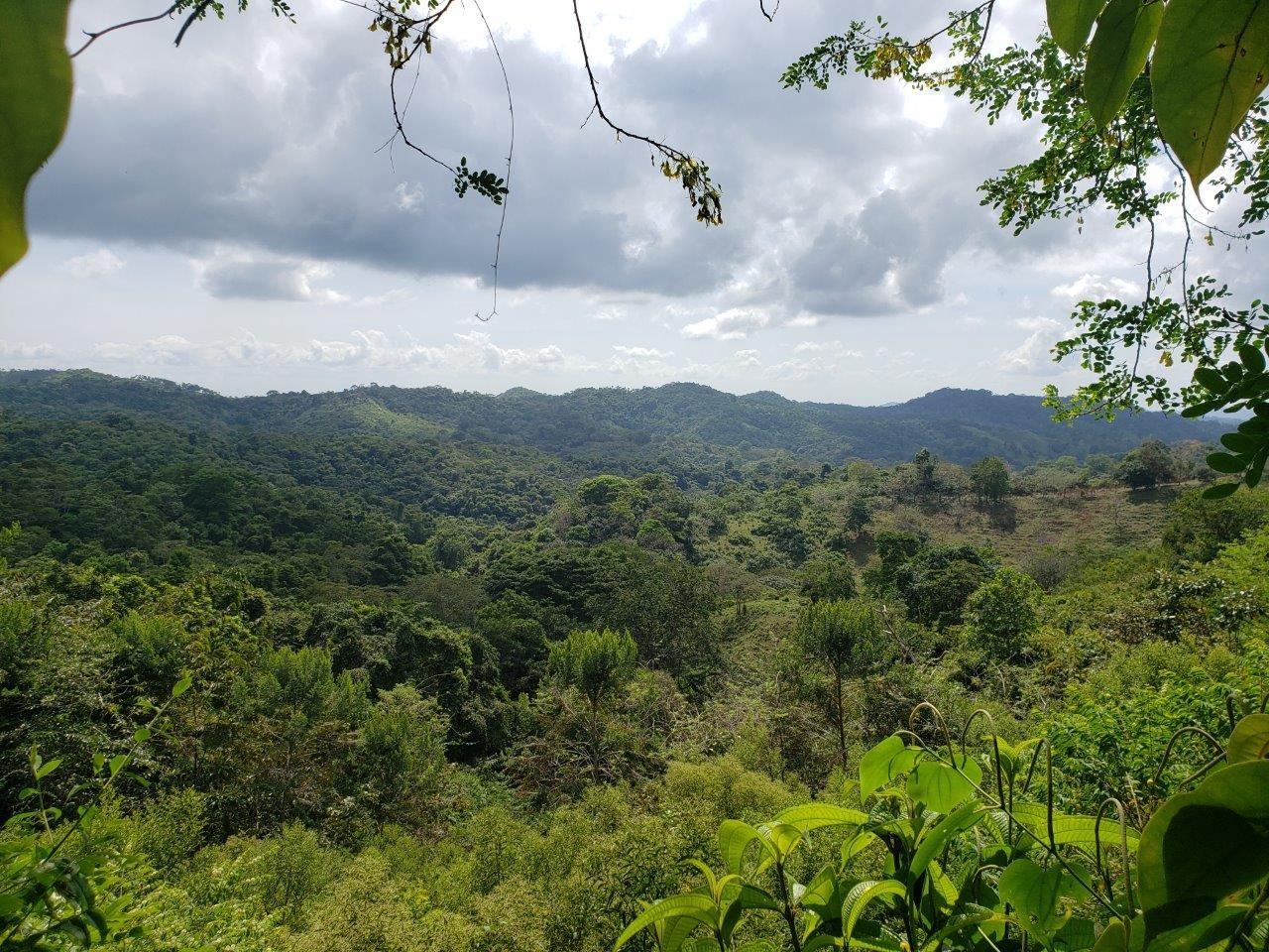 res-000060d0-14.jpg