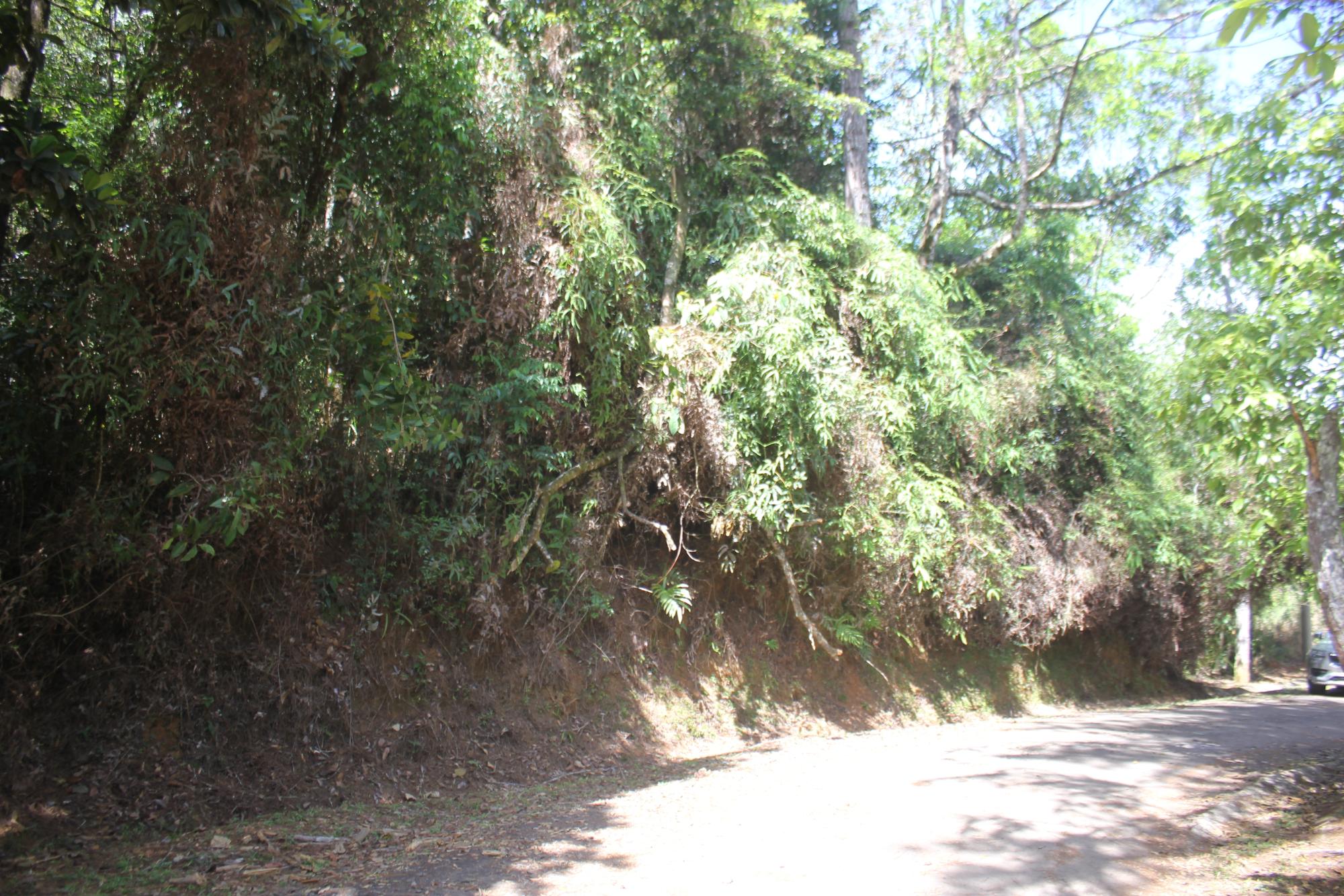 res-000060d4-01.jpg